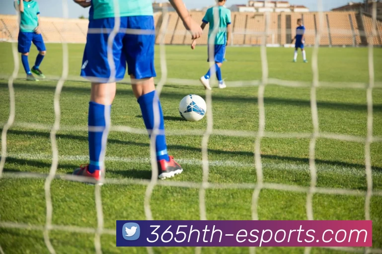 华体会电竞365平台生态图